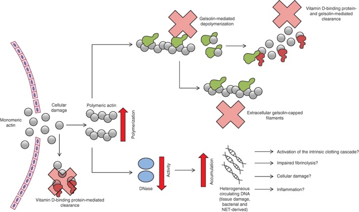 BJS-11310-FIG-0005-c