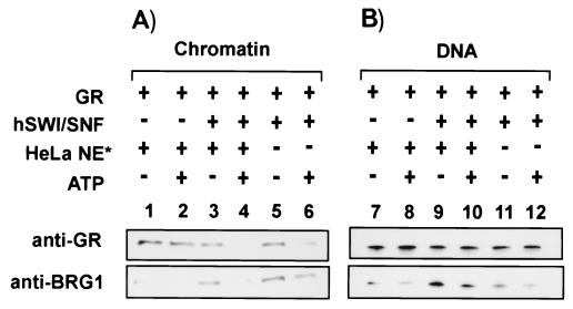 FIG. 5.