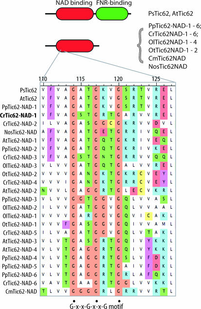 Figure 6.—