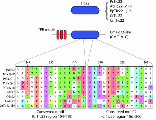 Figure 4.—