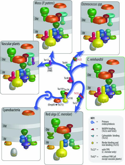 Figure 1.—