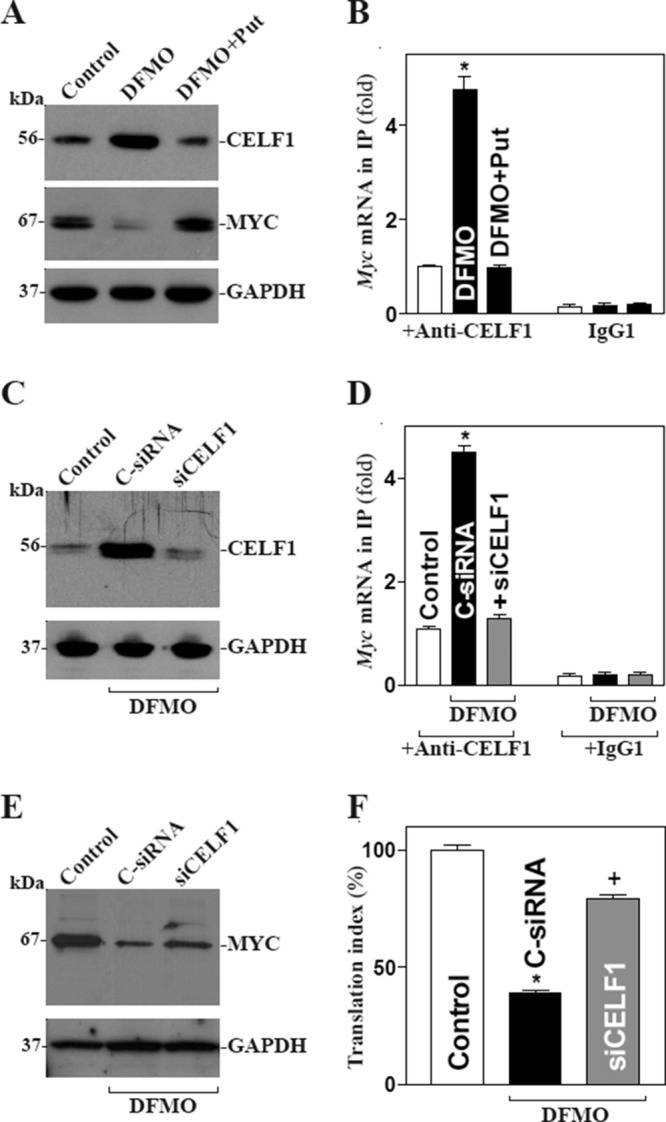 FIGURE 7: