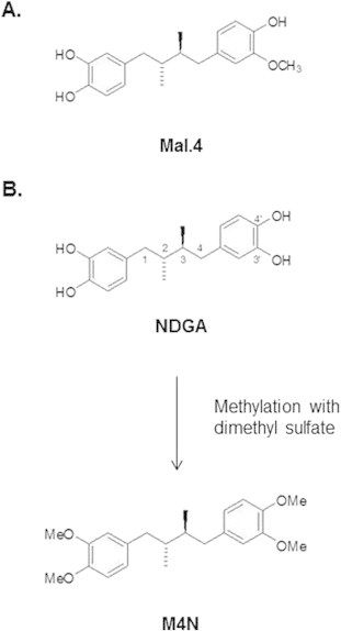 Fig. 3