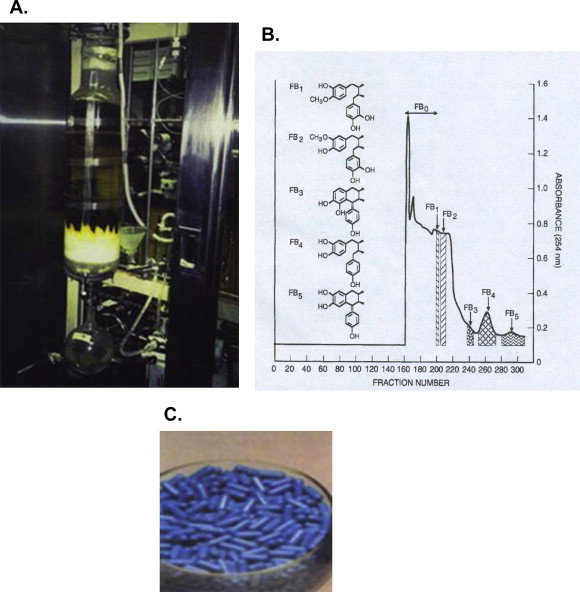 Fig. 4