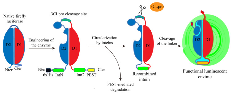 Figure 13