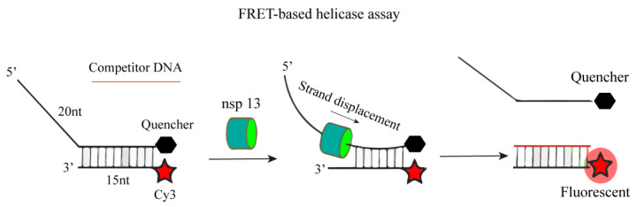 Figure 22