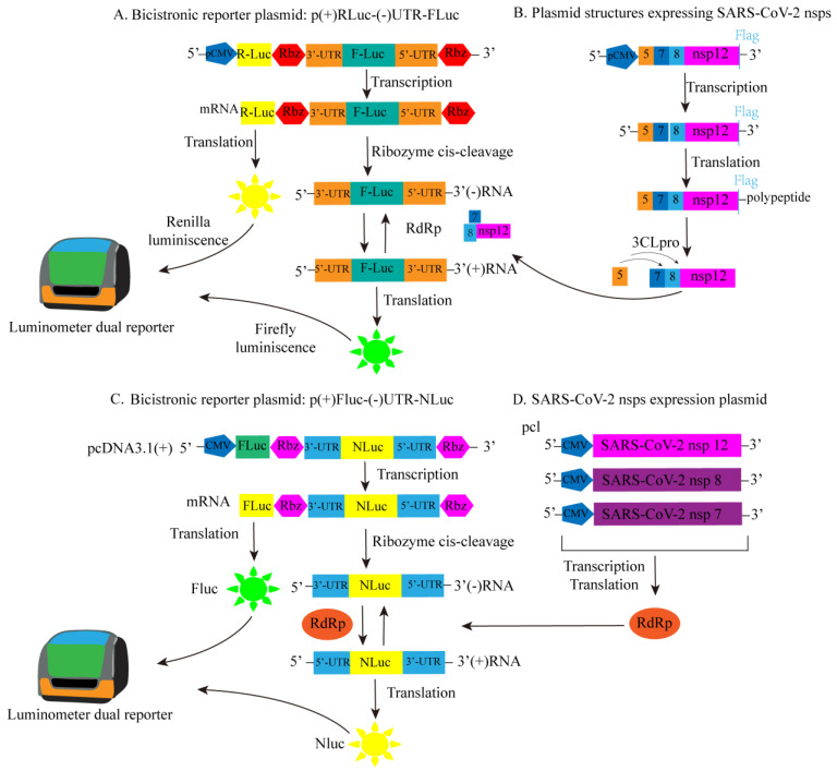 Figure 20