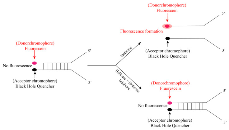 Figure 21