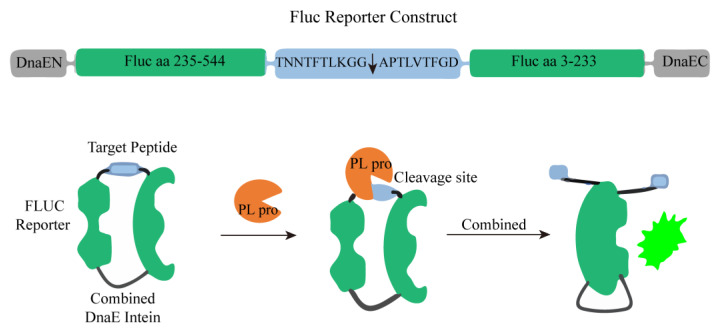 Figure 15