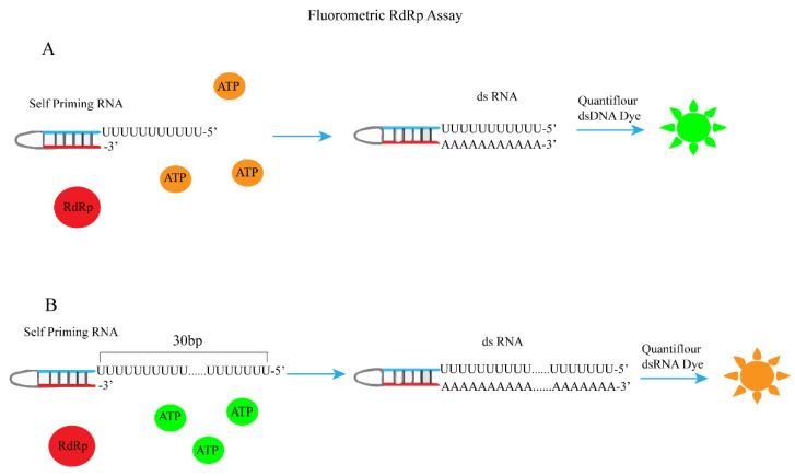 Figure 19