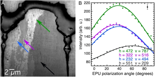 Fig. 4.