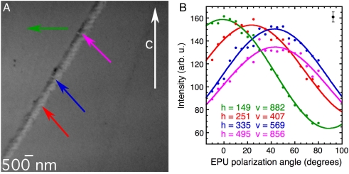 Fig. 2.