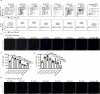 Extended Data Fig. 1
