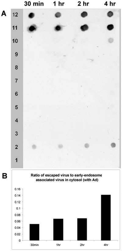 FIG. 8.