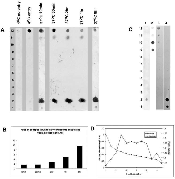 FIG. 7.