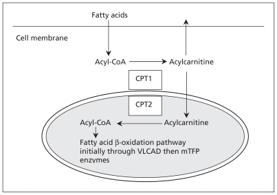 Figure 1: