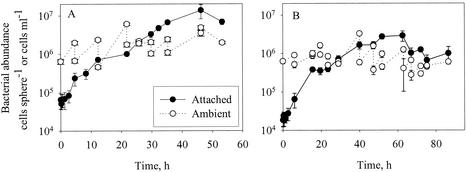 FIG. 1.