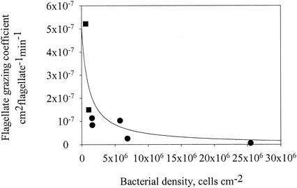 FIG. 8.