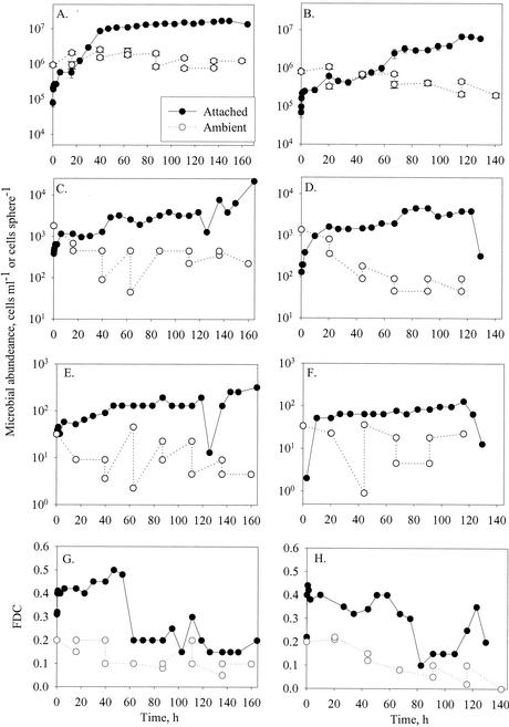 FIG. 2.