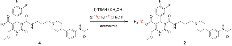 Scheme 2