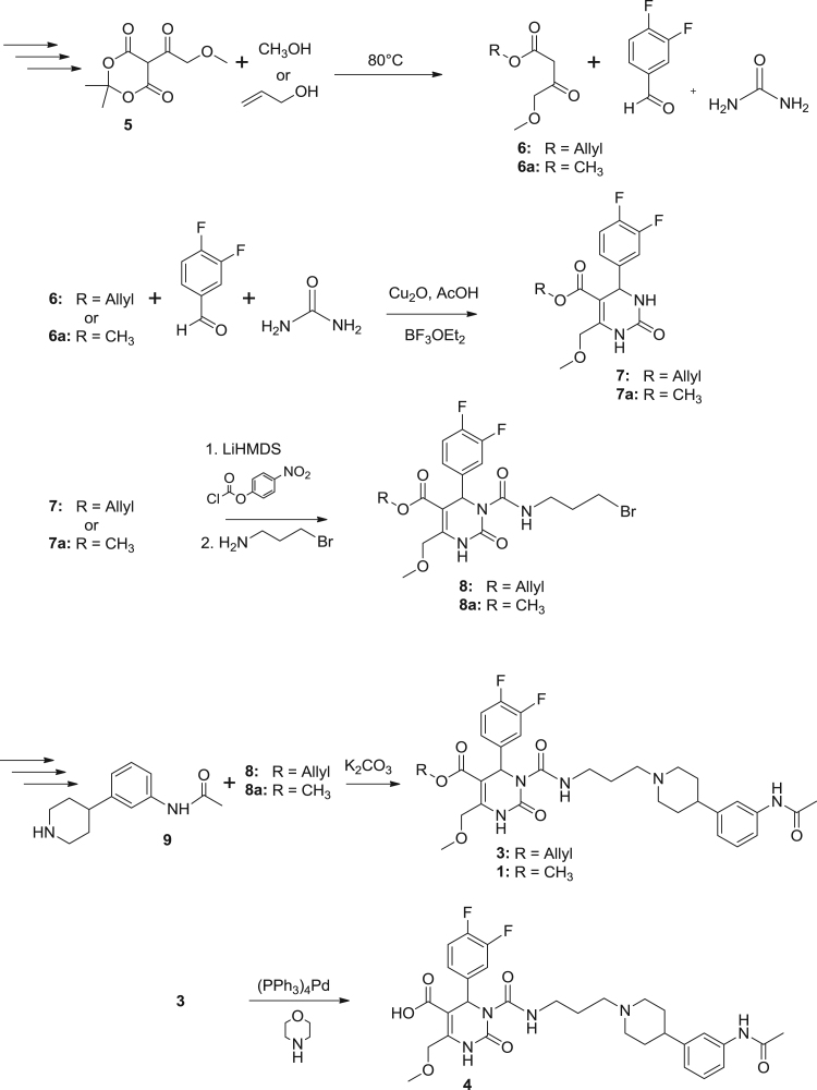 Scheme 1