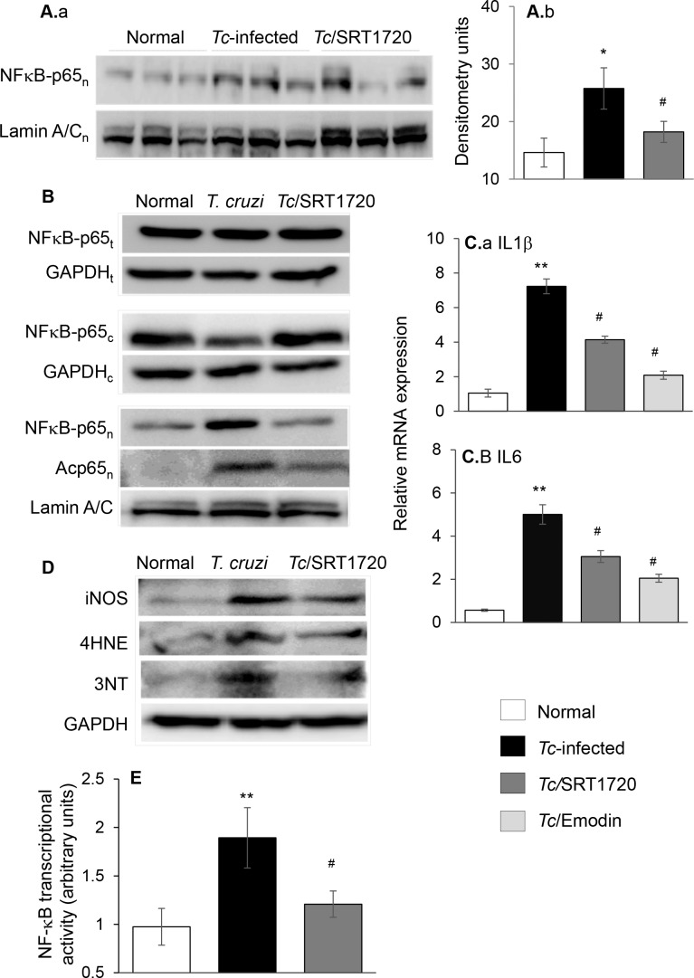 Fig 7