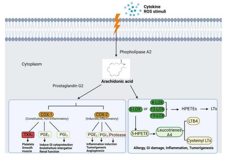 Figure 11