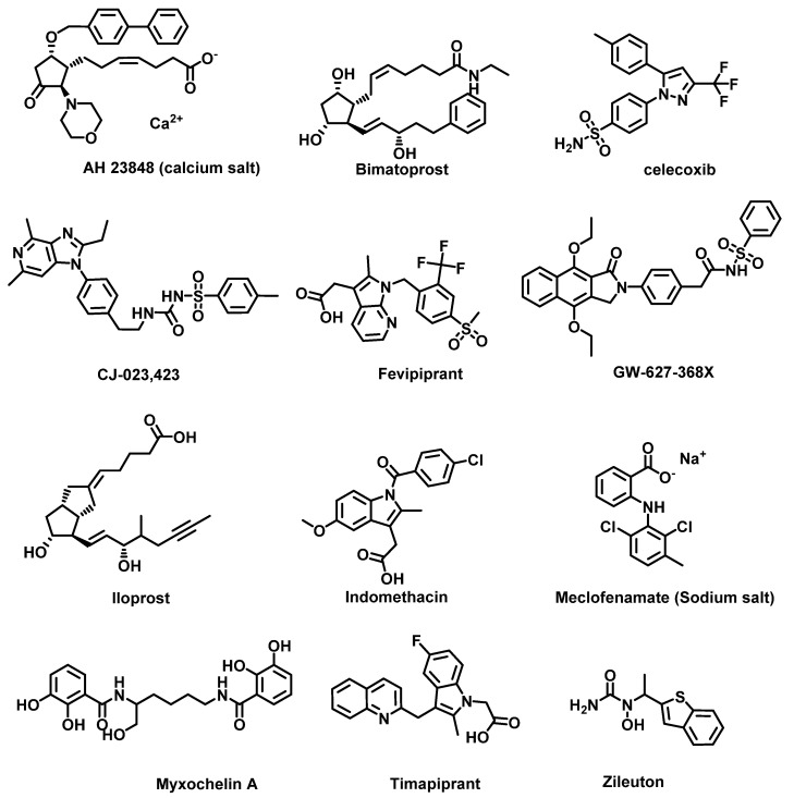 Figure 12