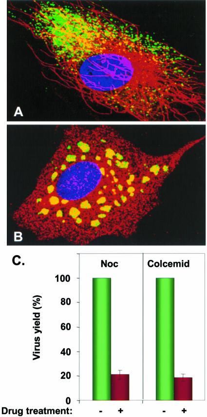 FIG. 6.