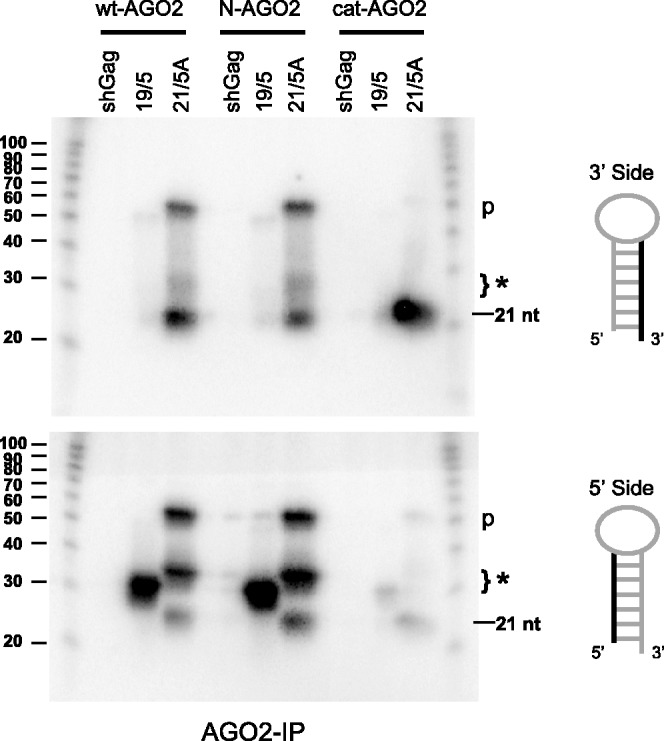 Figure 7.