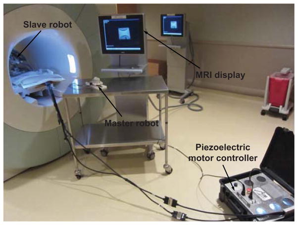 Fig. 10