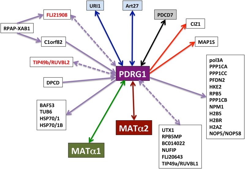 Fig 10