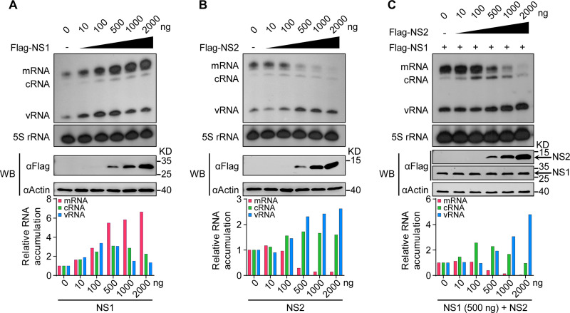 FIG 3