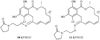 Fig. 22