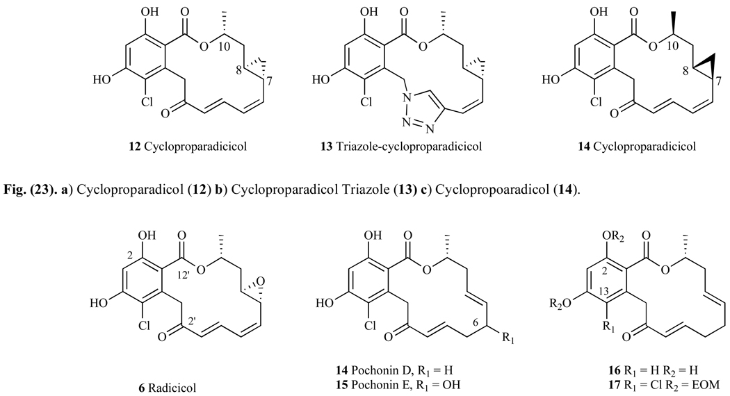 Fig. 23