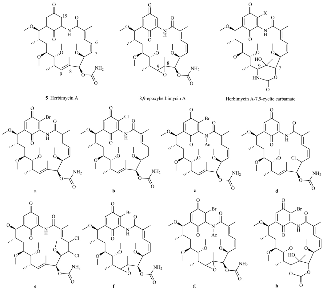 Fig. 17