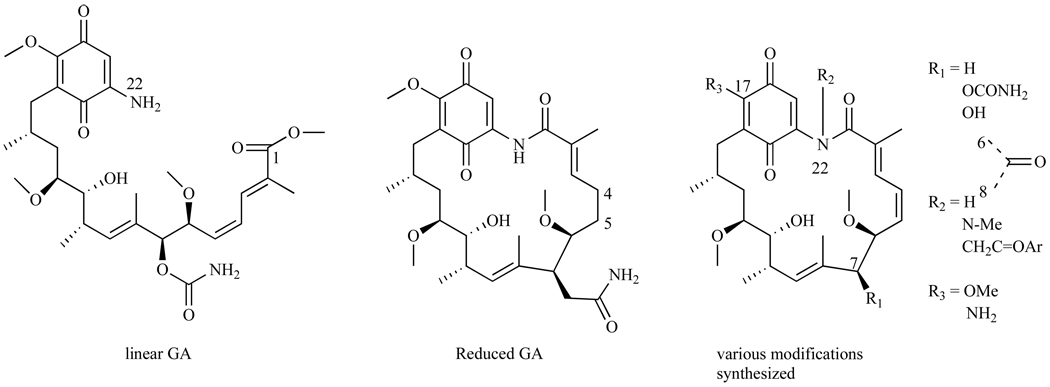 Fig. 5