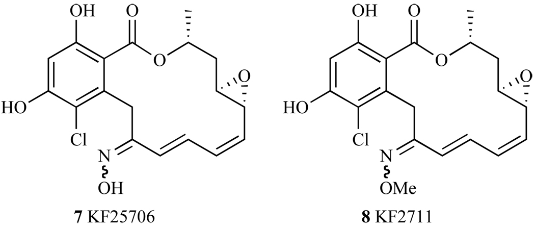 Fig. 20