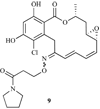 Fig. 21