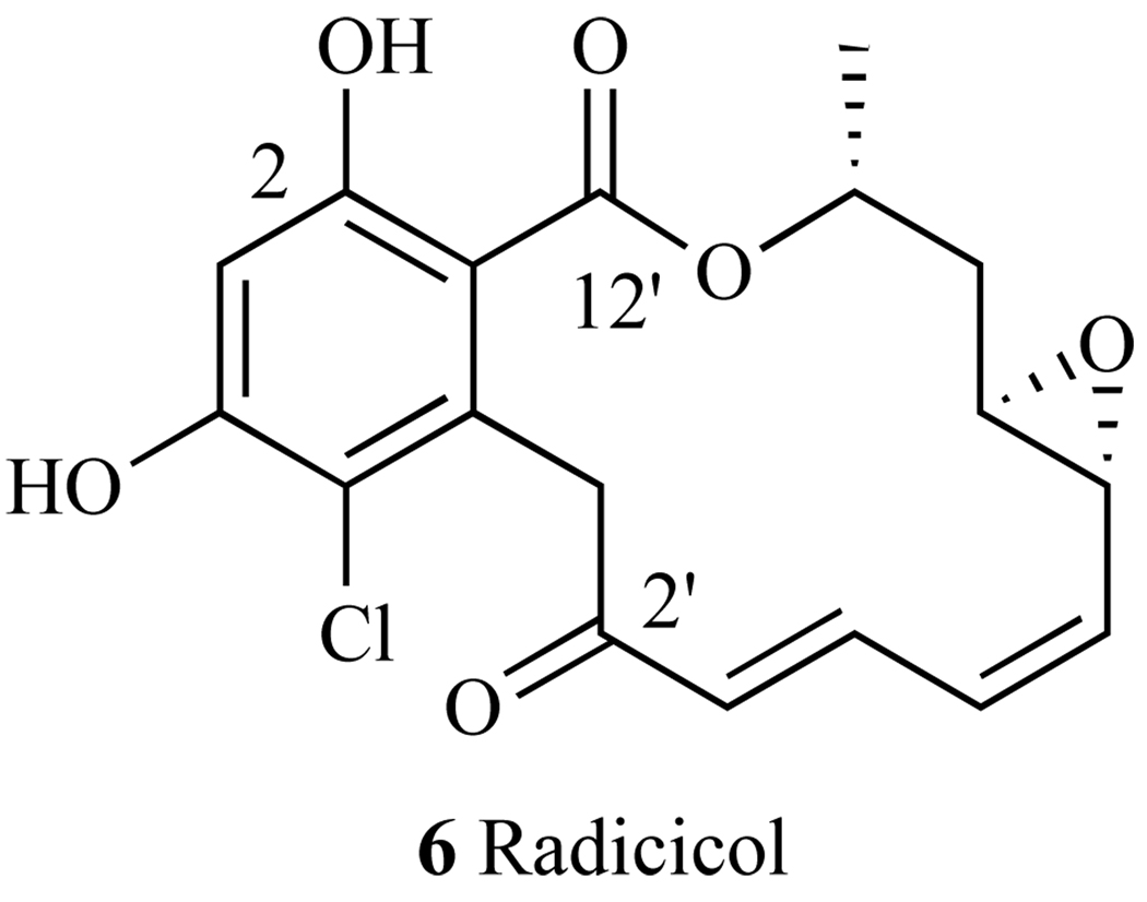 Fig. 18