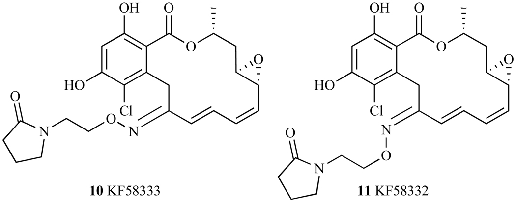 Fig. 22