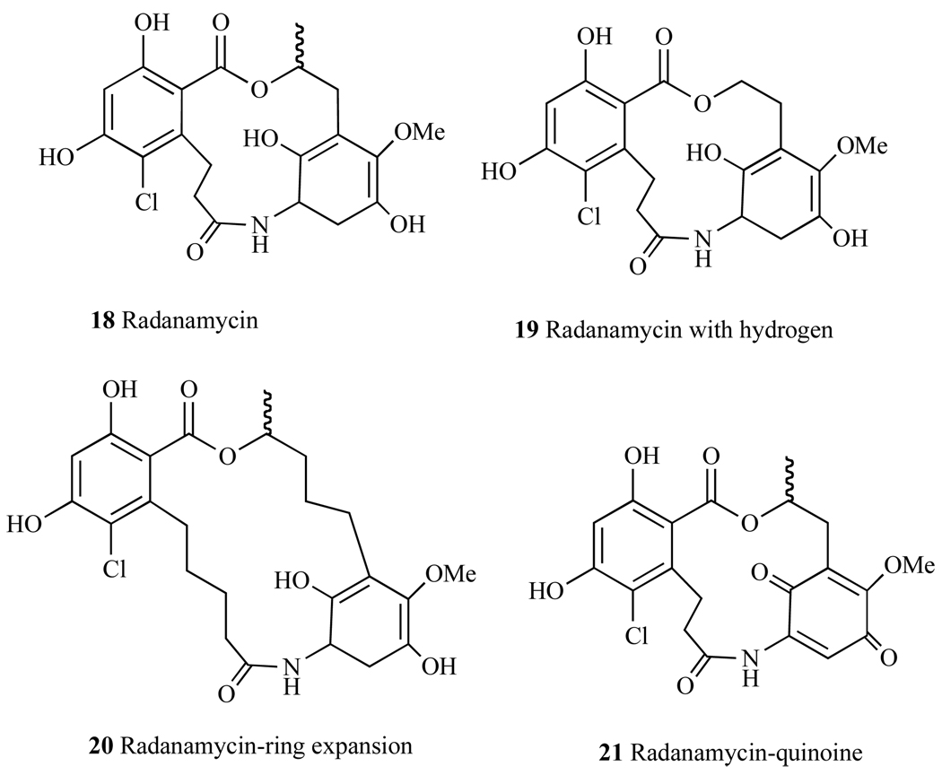 Fig. 24