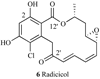 Fig. 18