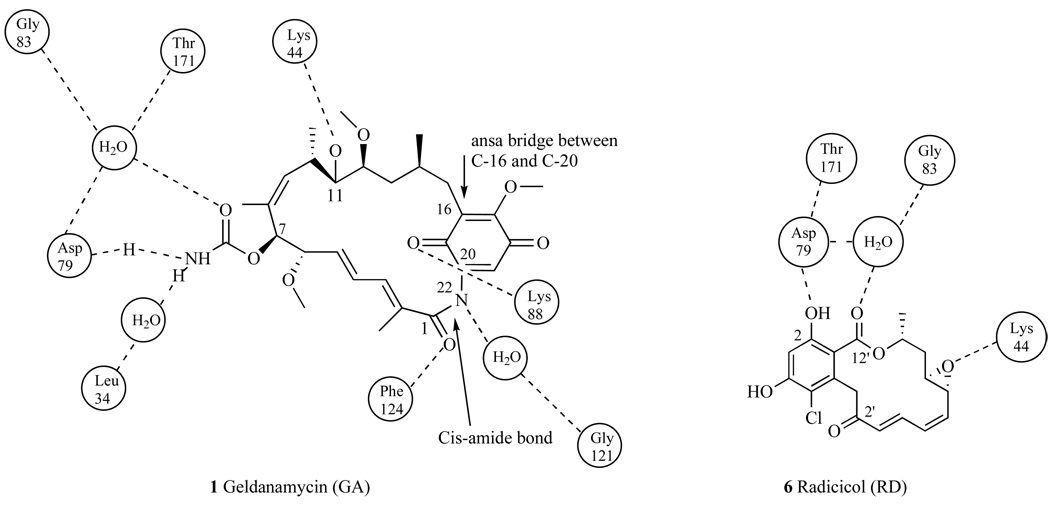 Fig. 19