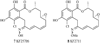 Fig. 20