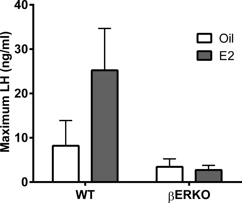 FIG. 6