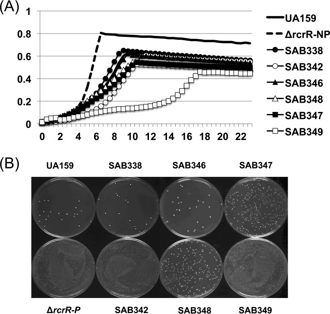 FIG 3