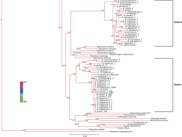 Fig. 2.