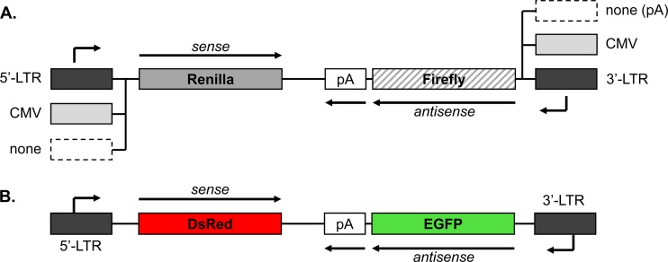 FIG 1