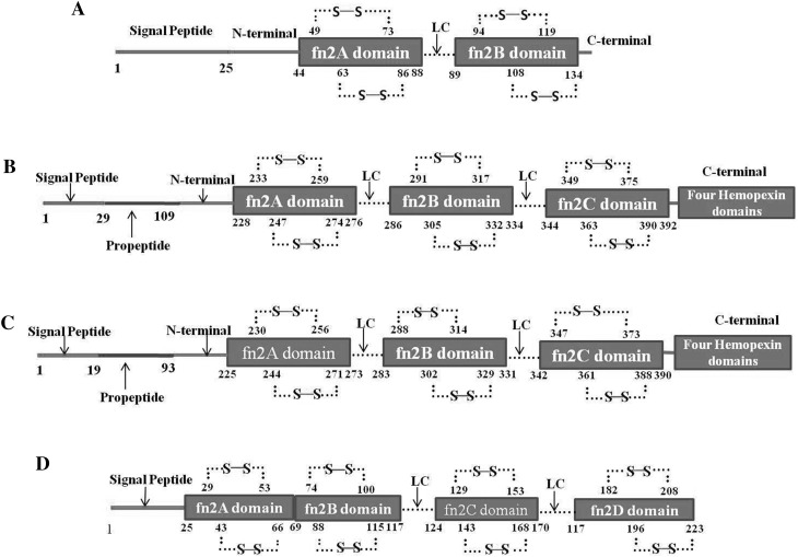 Fig. 2